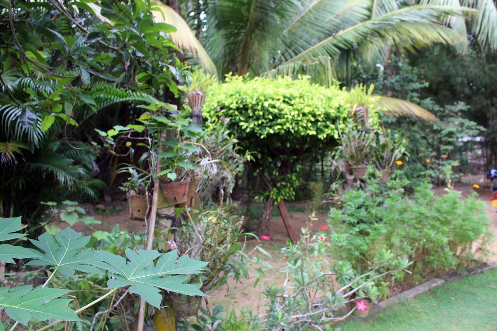 Anura Home Stay Калутара Екстериор снимка